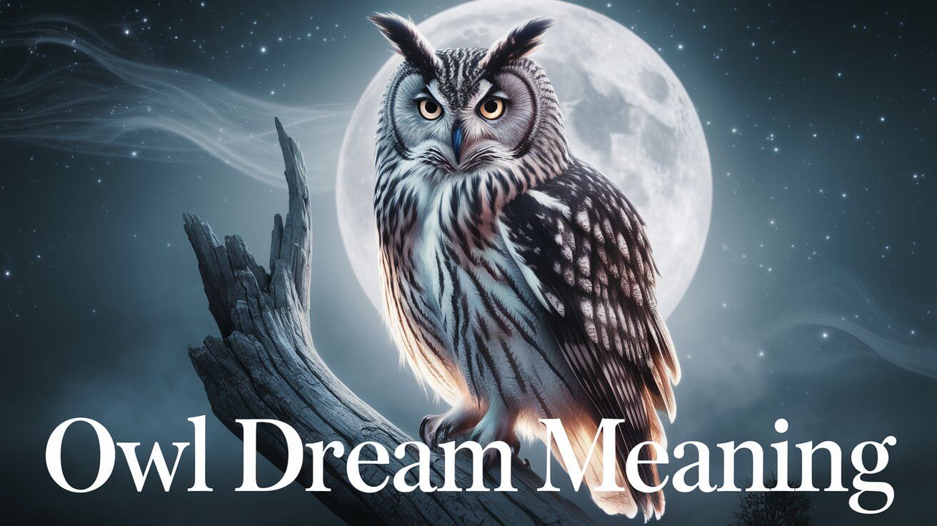 Owl Dream Meaning